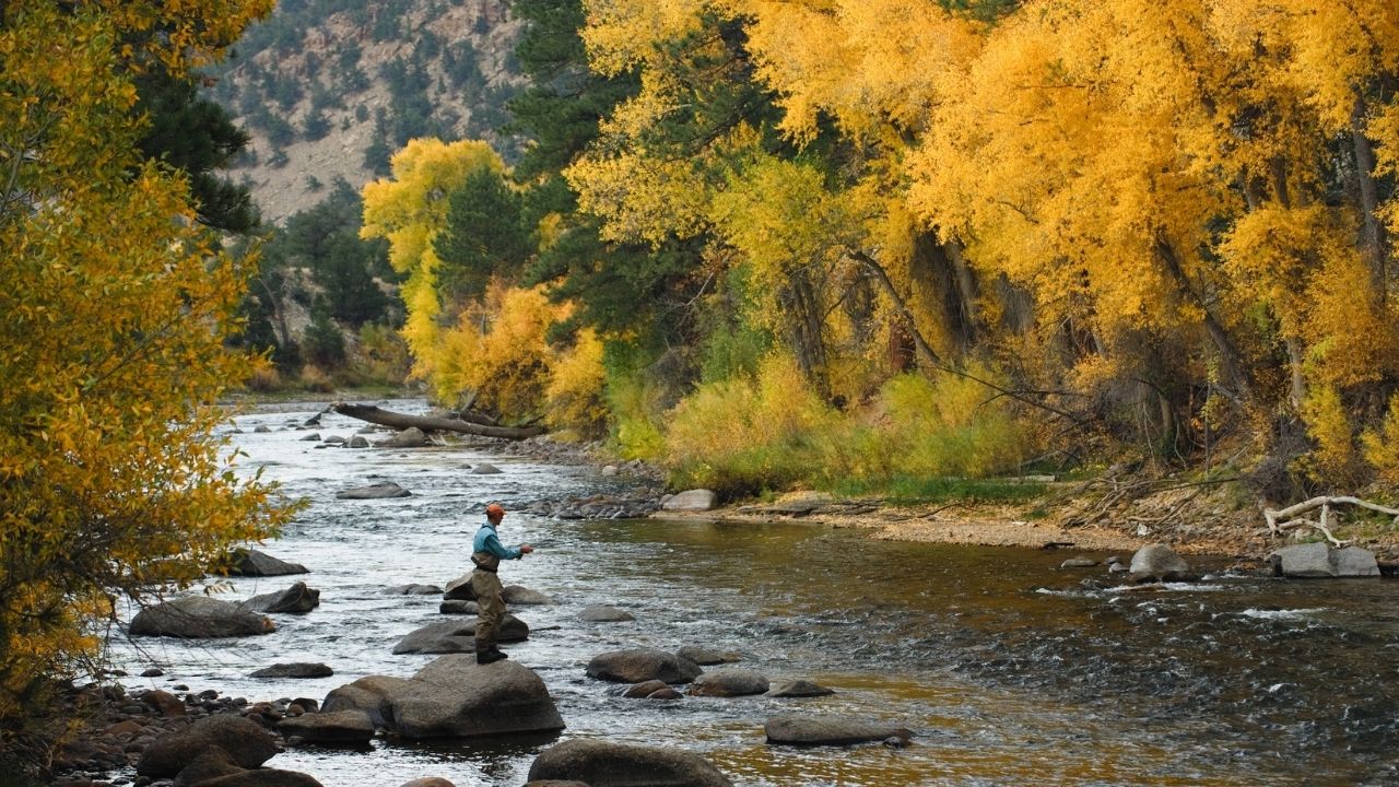 10 Best White Water Rafting Spots in US Beginner to Expert