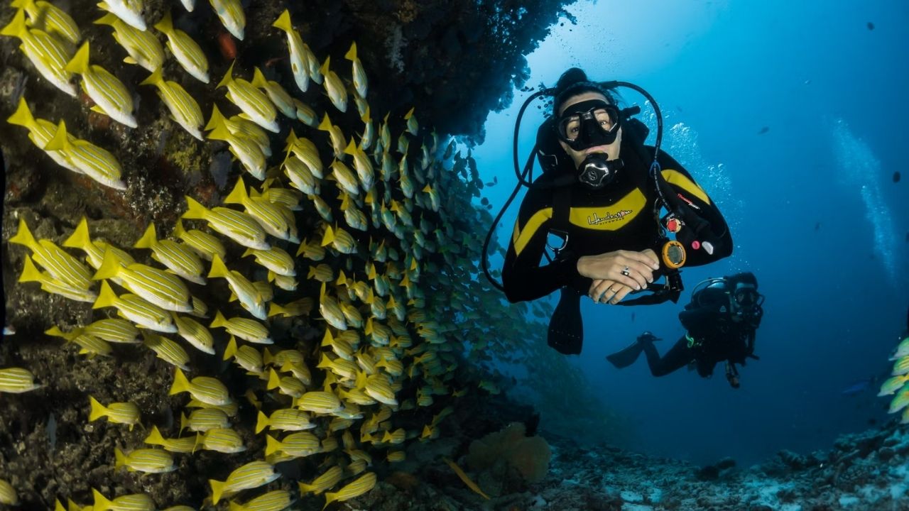 Find Out Medical Conditions That Might Stop You From Scuba Diving