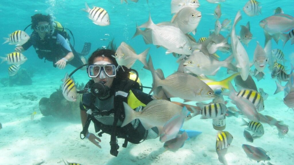 Best Scuba Diving Places In The World You Must Visit Once