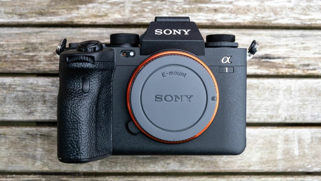 Sony A1 Underwater Mirrorless Camera for Scuba Diving