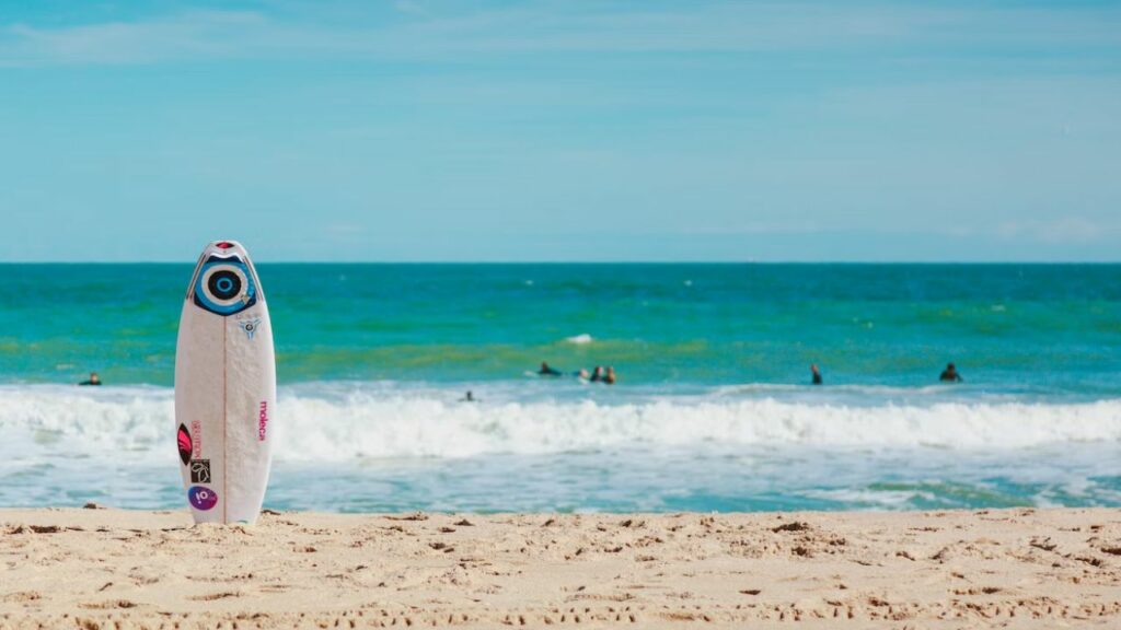 Best Surfboard Wax to Buy & How to Choose One (2023)